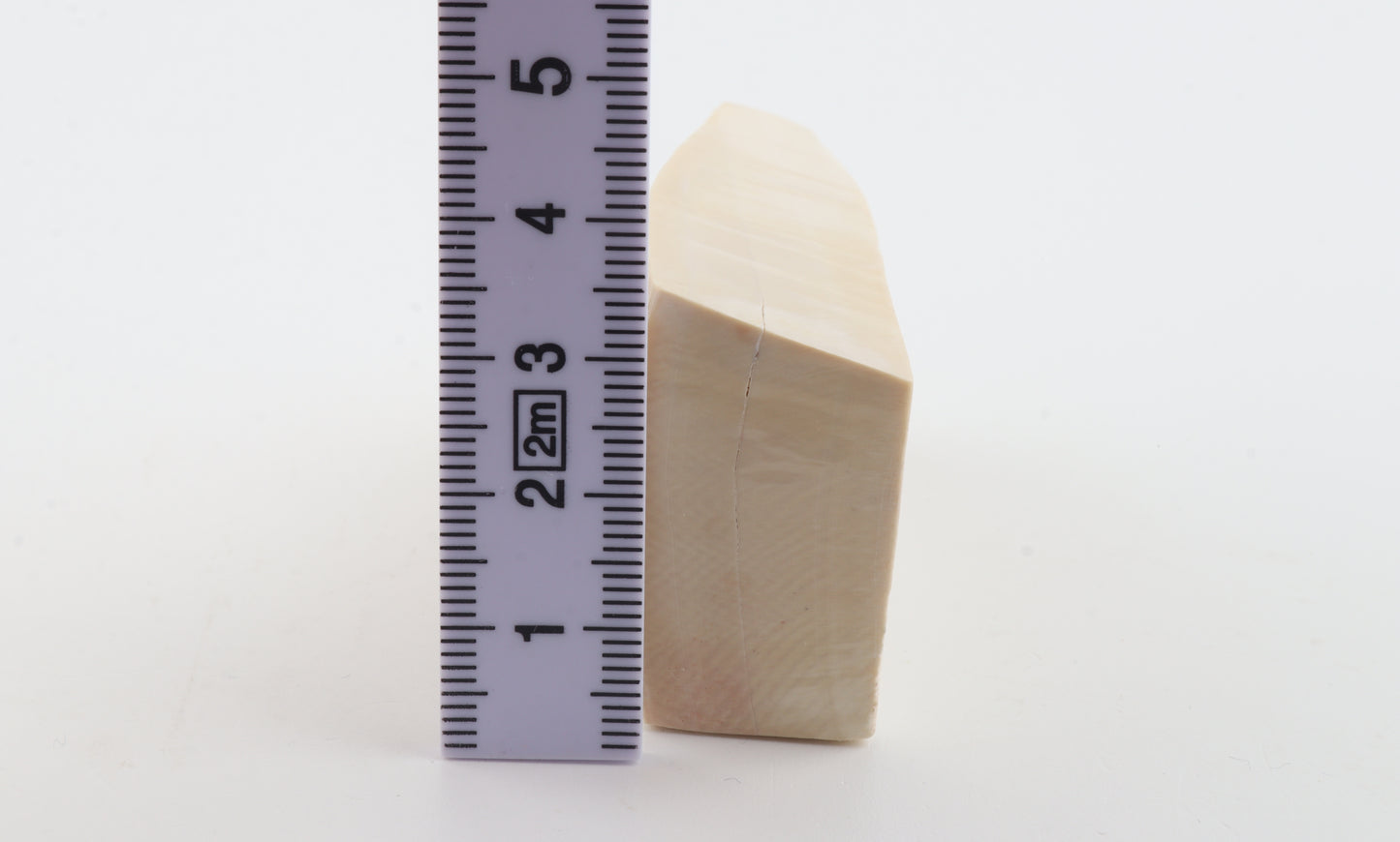 Natural mammoth ivory piece