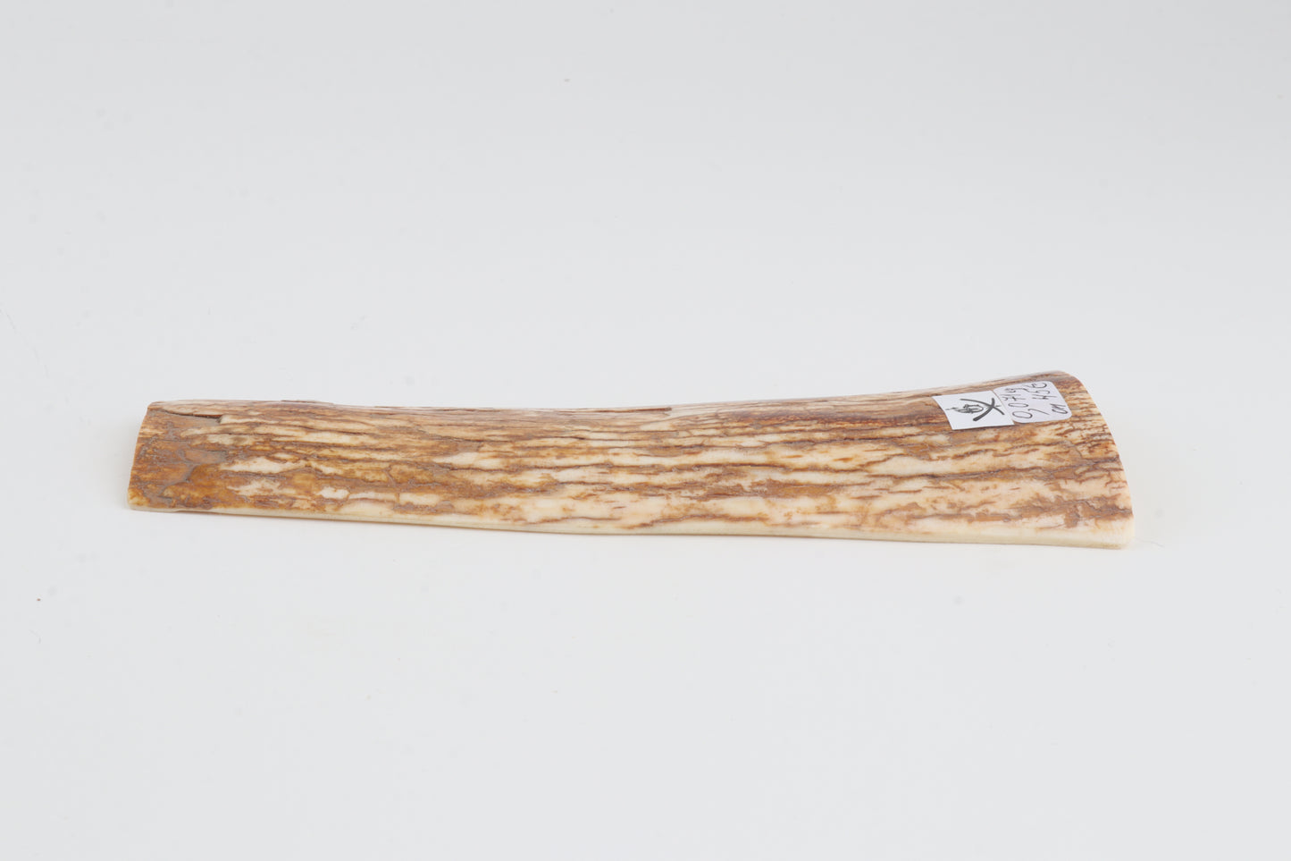 Orange-white mammoth bark