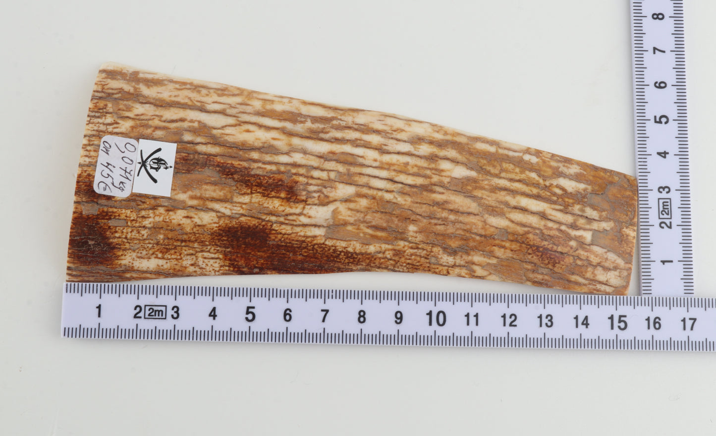 Orange-white mammoth bark