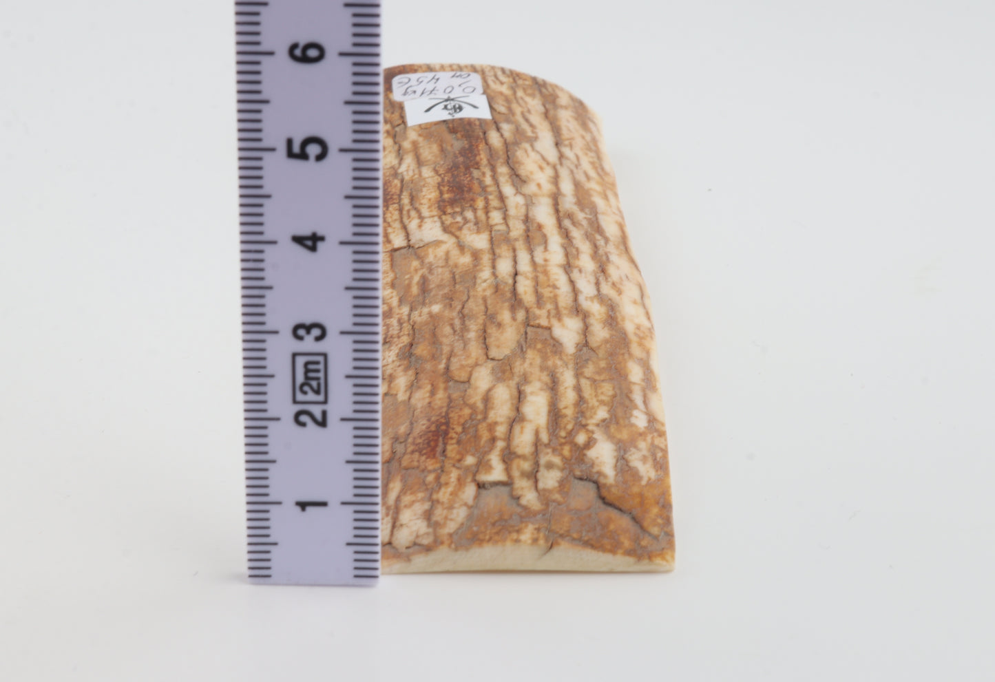 Orange-white mammoth bark