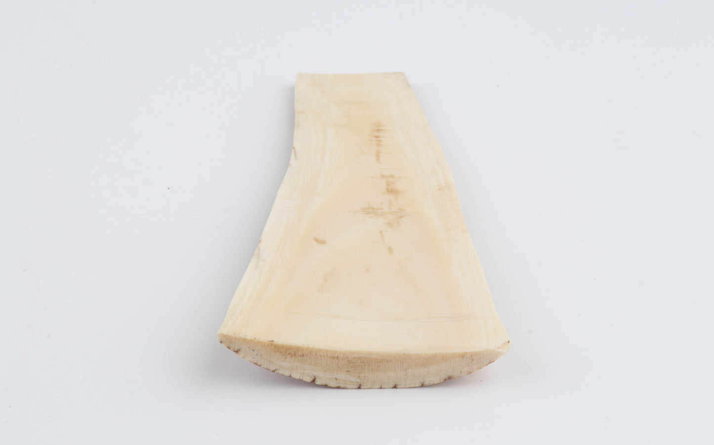 Orange-white mammoth bark