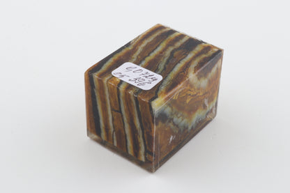 Stabilized mammoth molar piece