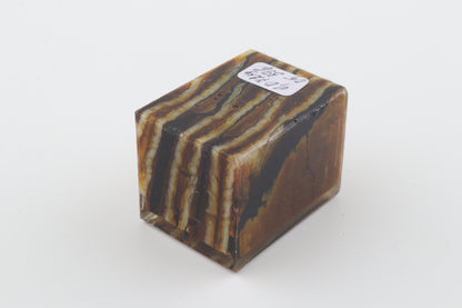 Stabilized mammoth molar piece