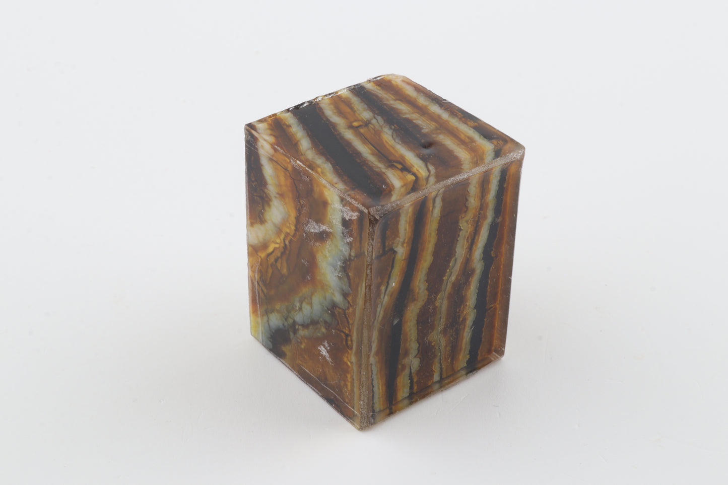 Stabilized mammoth molar piece