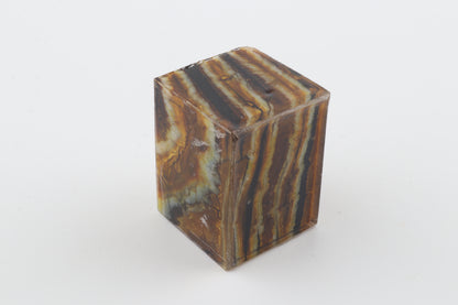 Stabilized mammoth molar piece