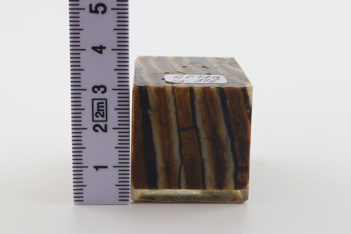 Stabilized mammoth molar piece