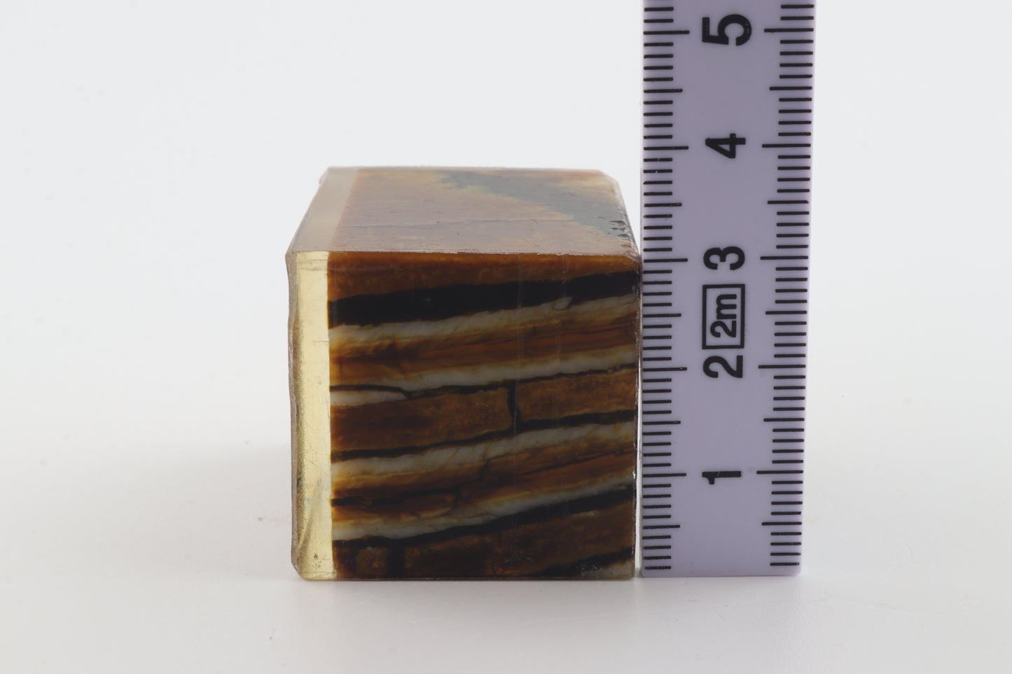 Stabilized mammoth molar piece