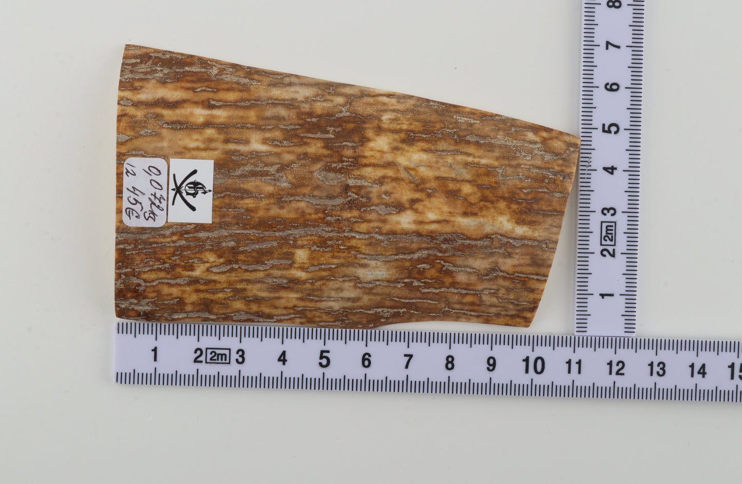 Orange-yellow mammoth bark