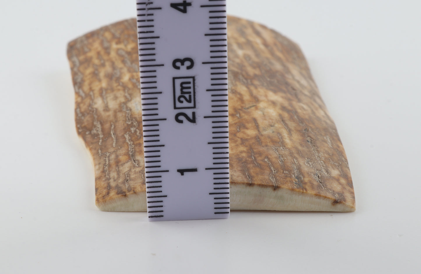 Orange-yellow mammoth bark