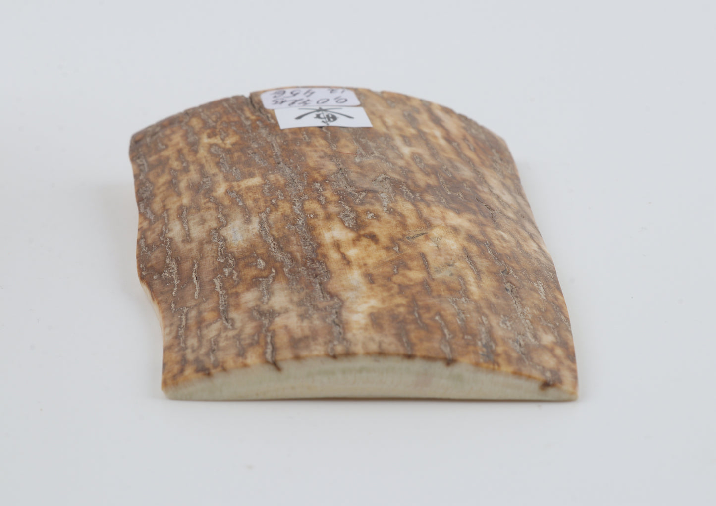 Orange-yellow mammoth bark
