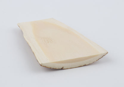 Orange-yellow mammoth bark