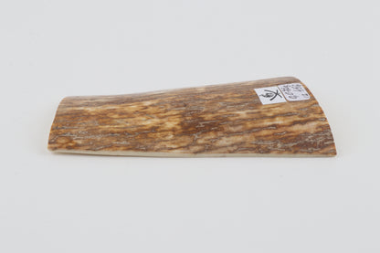 Orange-yellow mammoth bark