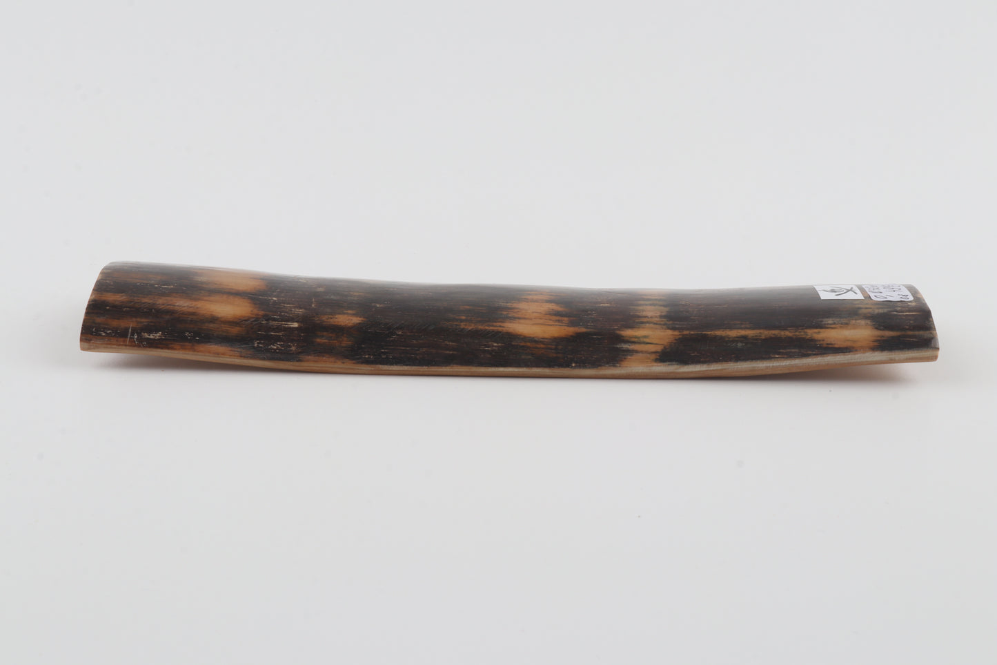 Brown mammoth bark