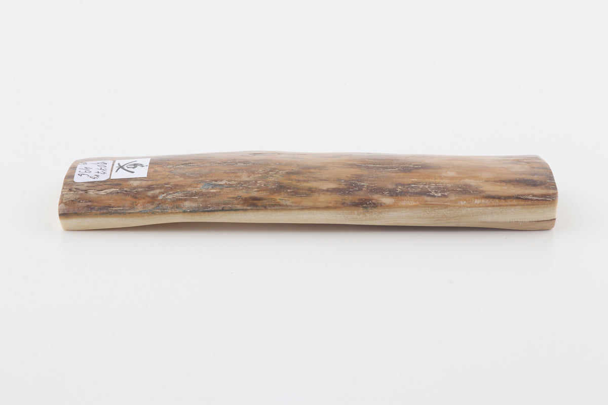 Brown-creme mammoth bark