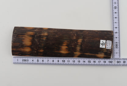 Brown mammoth bark
