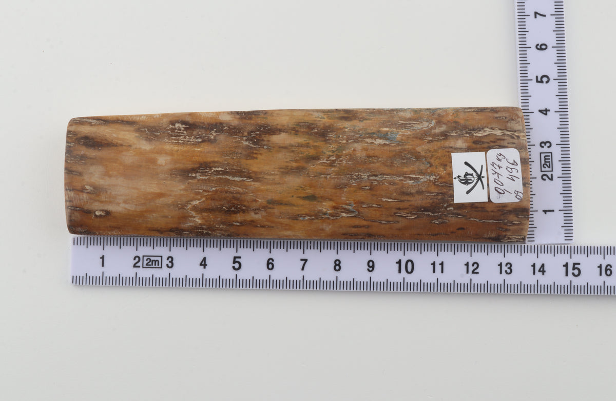 Brown-creme mammoth bark