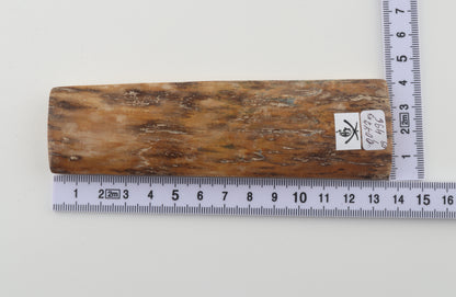 Brown-creme mammoth bark