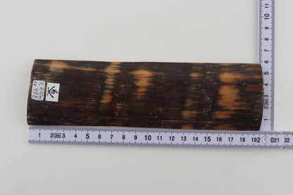 Brown mammoth bark