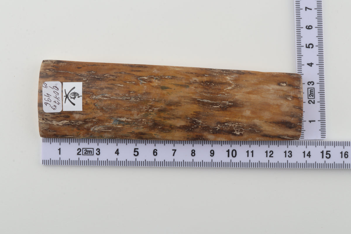 Brown-creme mammoth bark