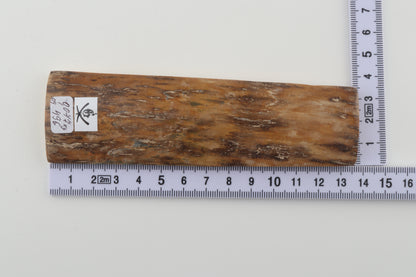Brown-creme mammoth bark