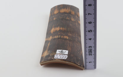 Brown mammoth bark