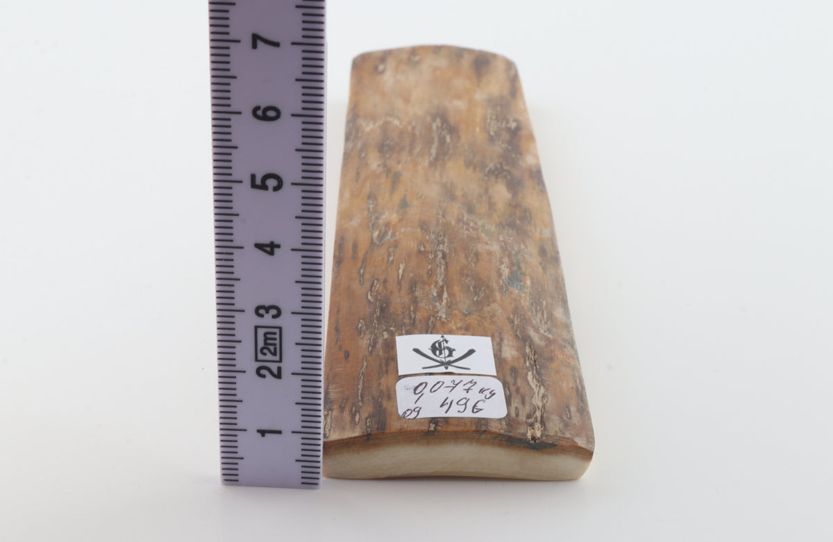 Brown-creme mammoth bark