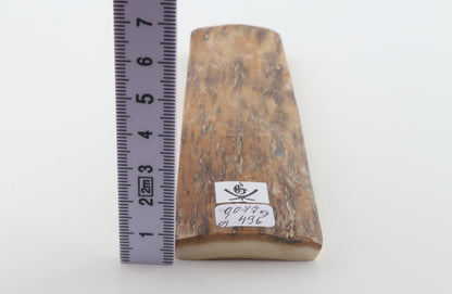 Brown-creme mammoth bark