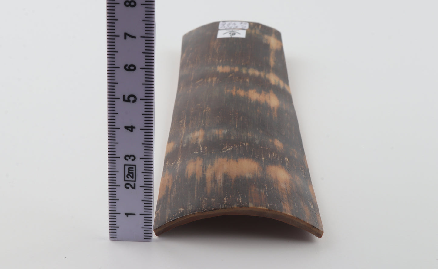 Brown mammoth bark