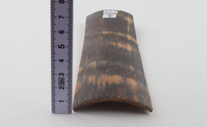 Brown mammoth bark
