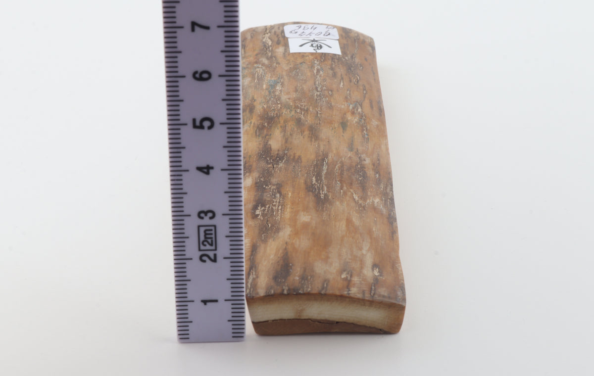 Brown-creme mammoth bark