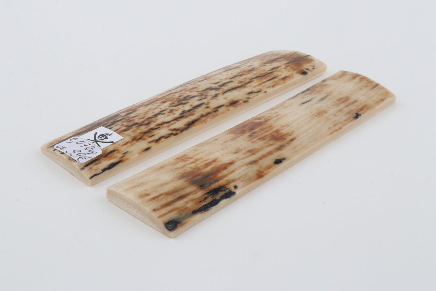 Orange-creme mammoth bark