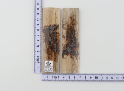 Natural mammoth bark scales