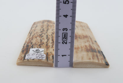 Orange-creme mammoth bark