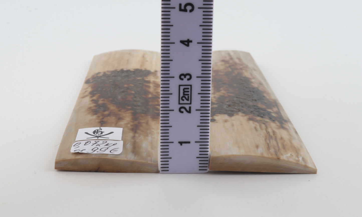 Natural mammoth bark scales