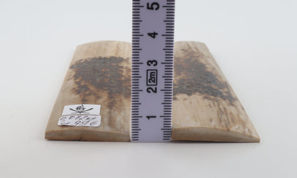 Natural mammoth bark scales