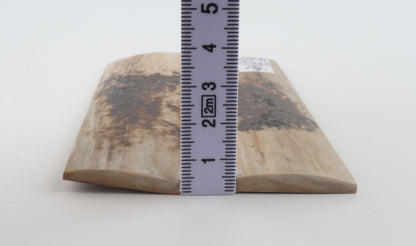 Natural mammoth bark scales
