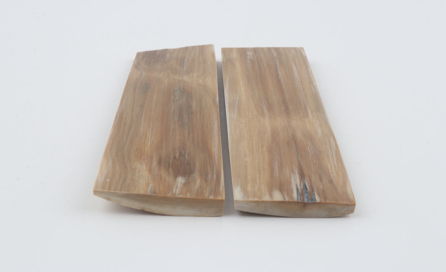 Natural mammoth bark scales
