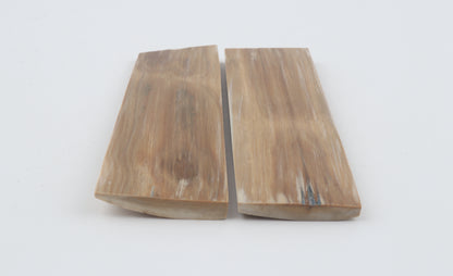 Natural mammoth bark scales