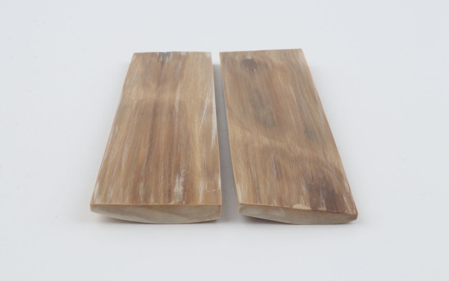 Natural mammoth bark scales