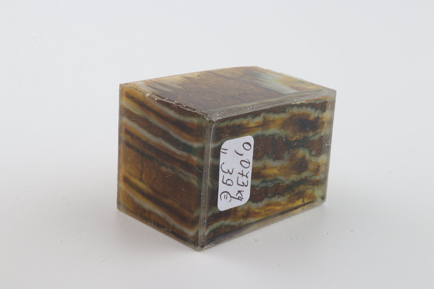 Stabilized mammoth molar piece