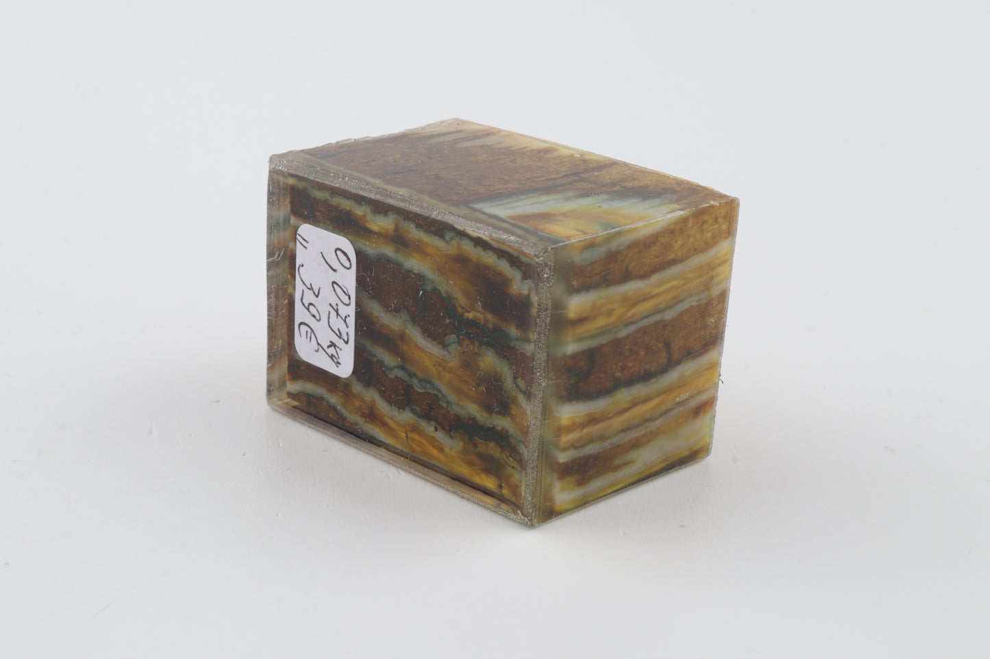 Stabilized mammoth molar piece