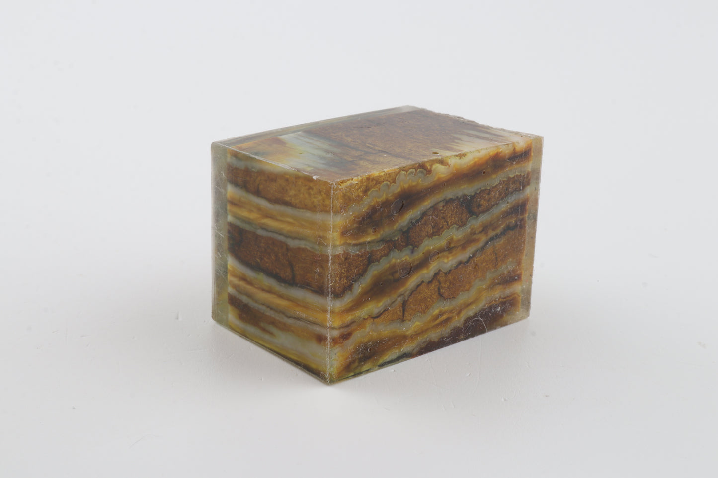 Stabilized mammoth molar piece