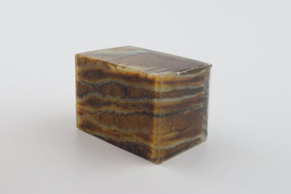 Stabilized mammoth molar piece