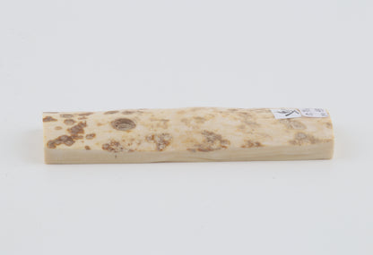 White mammoth bark