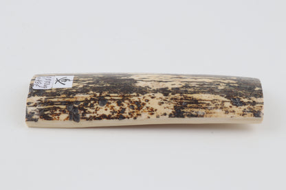 Natural woolly mammoth bark