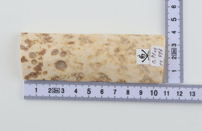 White mammoth bark
