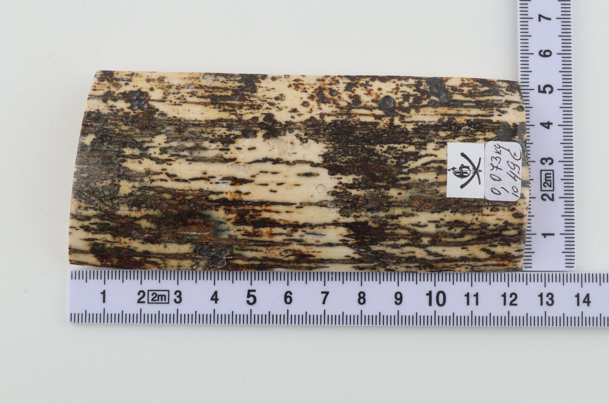 Natural woolly mammoth bark
