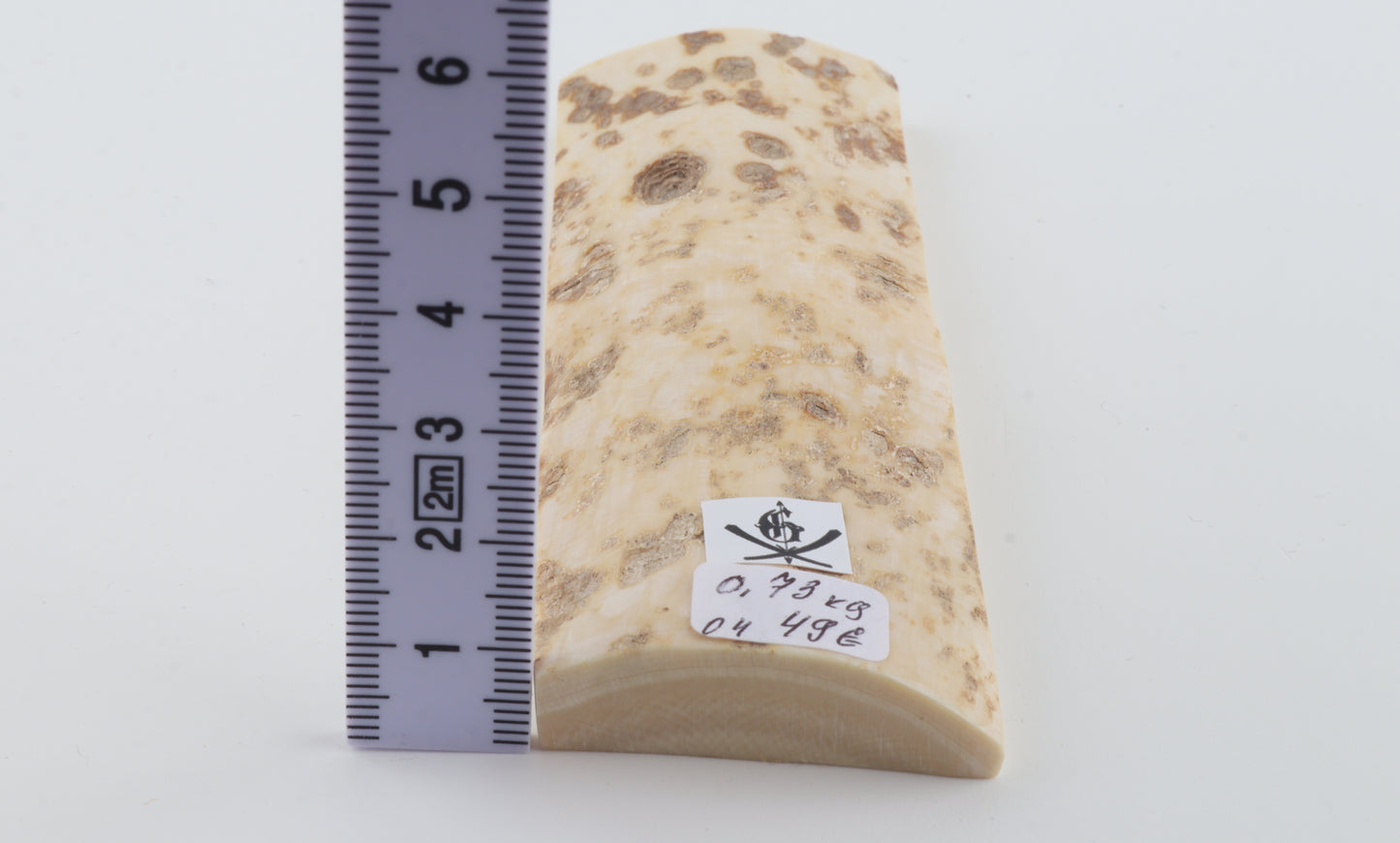 White mammoth bark