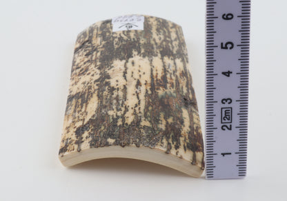 Natural woolly mammoth bark