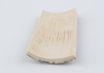 Natural woolly mammoth bark